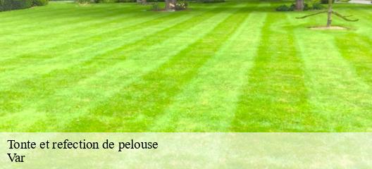 Tonte et refection de pelouse Var