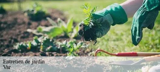 Entretien de jardin Var