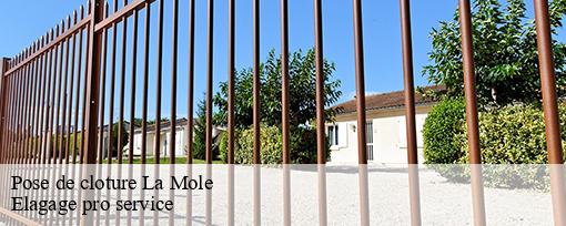 Pose de cloture  la-mole-83310 Elagage pro service