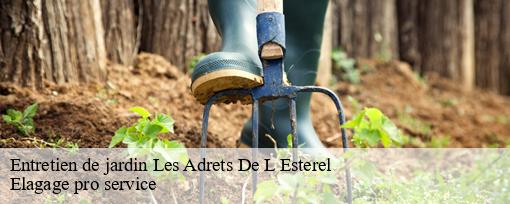 Entretien de jardin les-adrets-de-l-esterel-83600 Elagage pro service