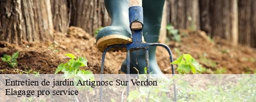 Entretien de jardin  artignosc-sur-verdon-83630 Elagage pro service