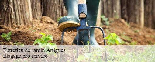 Entretien de jardin  artigues-83560 Elagage pro service