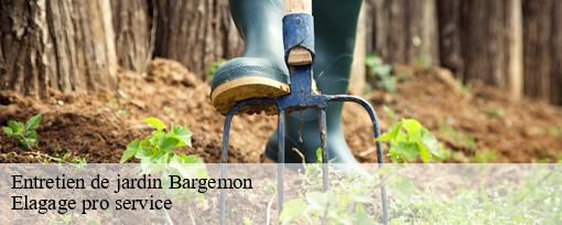 Entretien de jardin  bargemon-83830 Elagage pro service