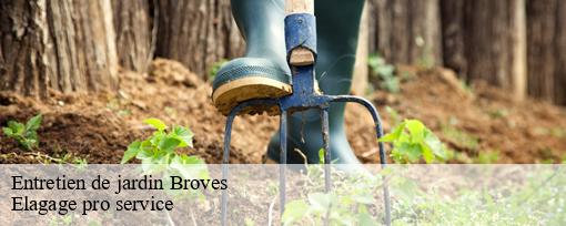 Entretien de jardin  broves-83440 Elagage pro service
