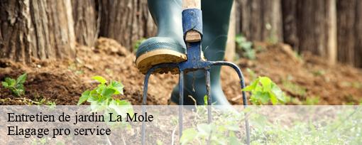 Entretien de jardin  la-mole-83310 Elagage pro service