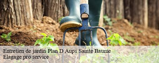 Entretien de jardin  plan-d-aups-sainte-baume-83640 Elagage pro service