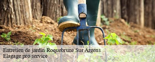 Entretien de jardin  roquebrune-sur-argens-83520 Elagage pro service