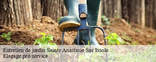 Entretien de jardin  sainte-anastasie-sur-issole-83136 Elagage pro service