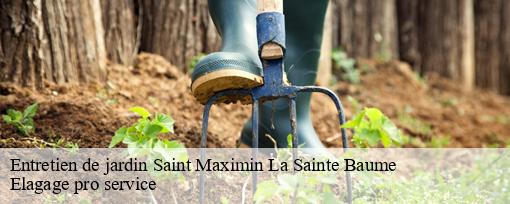 Entretien de jardin  saint-maximin-la-sainte-baume-83470 Elagage pro service