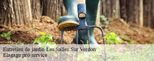 Entretien de jardin  les-salles-sur-verdon-83630 Elagage pro service