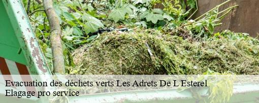 Evacuation des déchets verts  les-adrets-de-l-esterel-83600 Elagage pro service