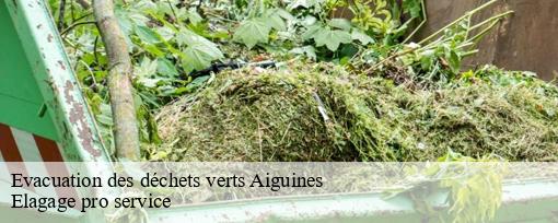 Evacuation des déchets verts aiguines-83630 Elagage pro service