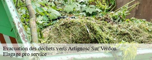 Evacuation des déchets verts  artignosc-sur-verdon-83630 Elagage pro service