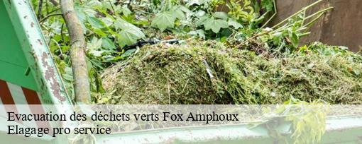 Evacuation des déchets verts  fox-amphoux-83670 Elagage pro service