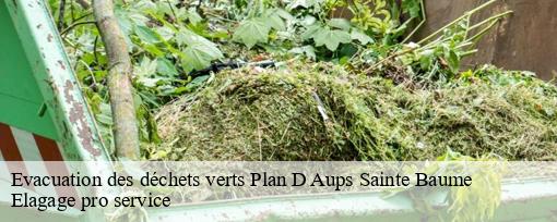 Evacuation des déchets verts  plan-d-aups-sainte-baume-83640 Elagage pro service