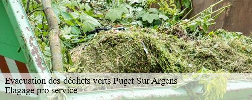 Evacuation des déchets verts  puget-sur-argens-83480 Elagage pro service