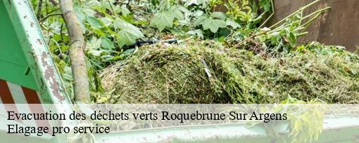 Evacuation des déchets verts roquebrune-sur-argens-83520 Elagage pro service