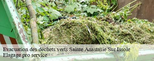 Evacuation des déchets verts  sainte-anastasie-sur-issole-83136 Elagage pro service
