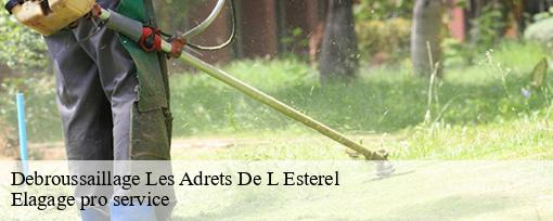 Debroussaillage  les-adrets-de-l-esterel-83600 Elagage pro service