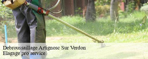 Debroussaillage  artignosc-sur-verdon-83630 Elagage pro service