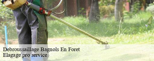 Debroussaillage  bagnols-en-foret-83600 Elagage pro service