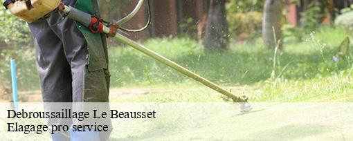 Debroussaillage  le-beausset-83330 Elagage pro service