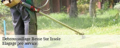 Debroussaillage  besse-sur-issole-83890 Elagage pro service