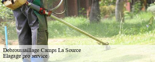 Debroussaillage  camps-la-source-83170 Elagage pro service