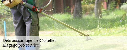 Debroussaillage  le-castellet-83330 Elagage pro service