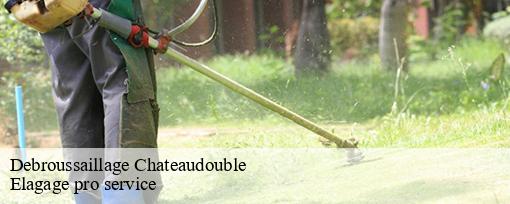 Debroussaillage chateaudouble-83300 Elagage pro service