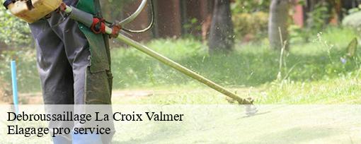 Debroussaillage  la-croix-valmer-83420 Elagage pro service