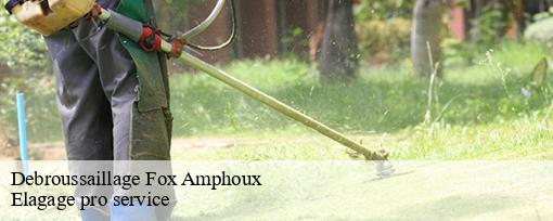 Debroussaillage  fox-amphoux-83670 Elagage pro service