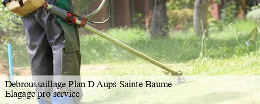 Debroussaillage  plan-d-aups-sainte-baume-83640 Elagage pro service