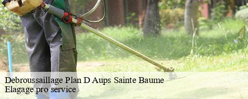 Debroussaillage plan-d-aups-sainte-baume-83640 Elagage pro service