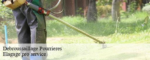 Debroussaillage pourrieres-83910 Elagage pro service