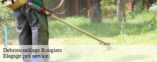 Debroussaillage  rougiers-83170 Elagage pro service