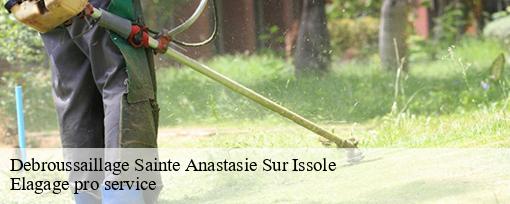 Debroussaillage  sainte-anastasie-sur-issole-83136 Elagage pro service