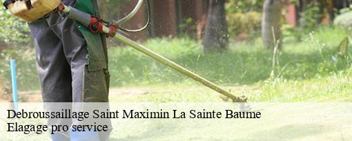 Debroussaillage  saint-maximin-la-sainte-baume-83470 Elagage pro service