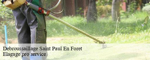 Debroussaillage  saint-paul-en-foret-83440 Elagage pro service