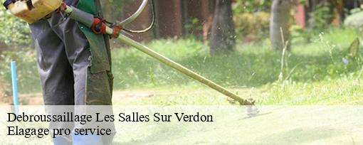 Debroussaillage  les-salles-sur-verdon-83630 Elagage pro service