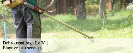 Debroussaillage le-val-83143 Elagage pro service
