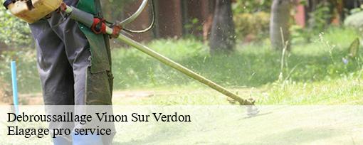 Debroussaillage  vinon-sur-verdon-83560 Elagage pro service