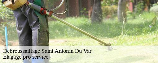 Debroussaillage saint-antonin-du-var-83510 Elagage pro service
