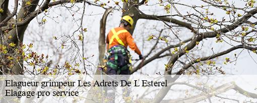Elagueur grimpeur  les-adrets-de-l-esterel-83600 Elagage pro service