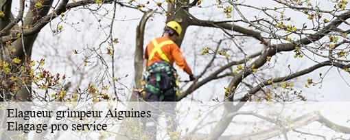 Elagueur grimpeur  aiguines-83630 Elagage pro service