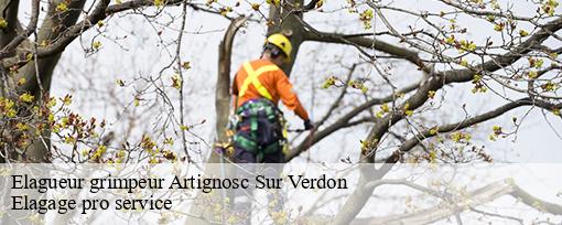 Elagueur grimpeur artignosc-sur-verdon-83630 Elagage pro service