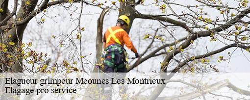 Elagueur grimpeur meounes-les-montrieux-83136 Elagage pro service