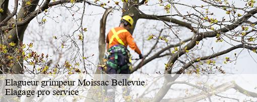 Elagueur grimpeur  moissac-bellevue-83630 Elagage pro service