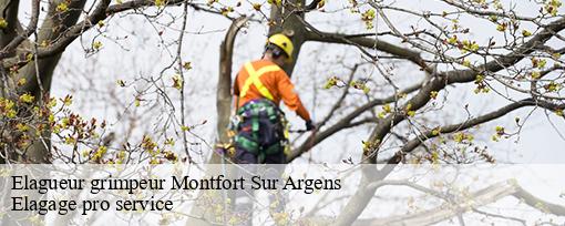 Elagueur grimpeur  montfort-sur-argens-83570 Elagage pro service