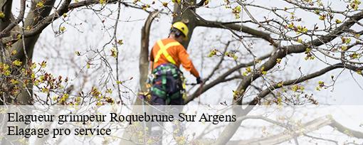 Elagueur grimpeur roquebrune-sur-argens-83520 Elagage pro service